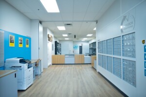 UPS bluediamond-2 (2)